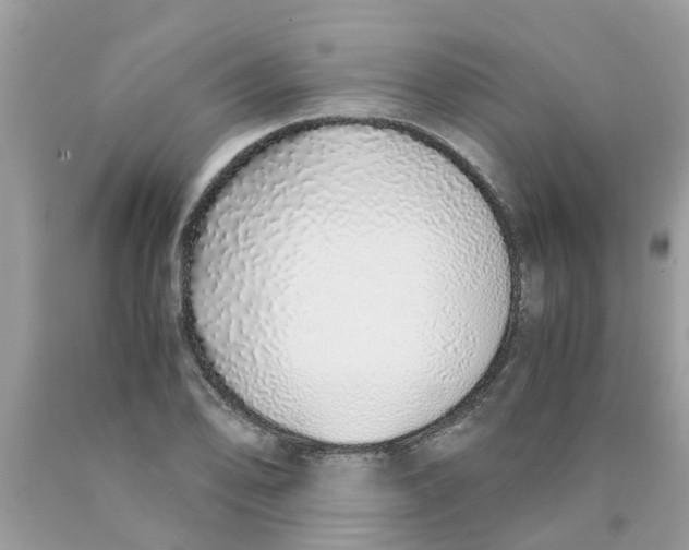 X0000089891078200707262225