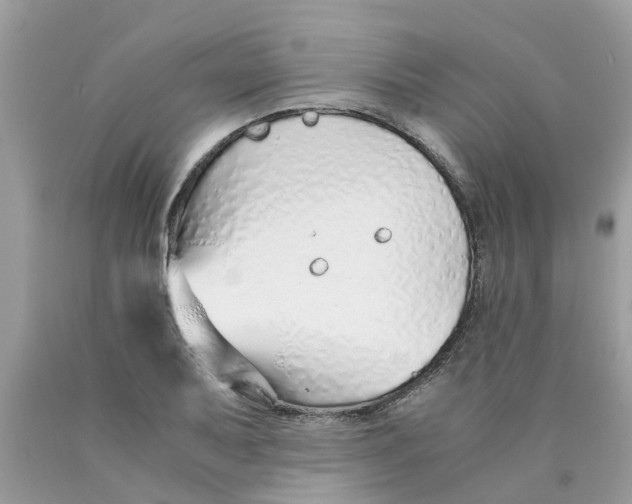 X0000089891079200707262225