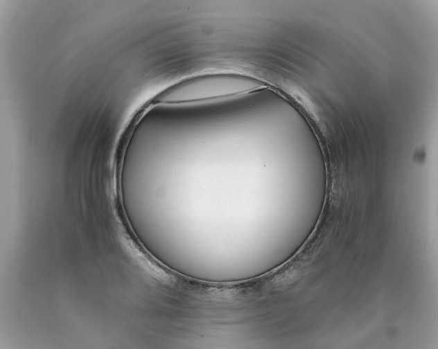 X0000089891080200707262225