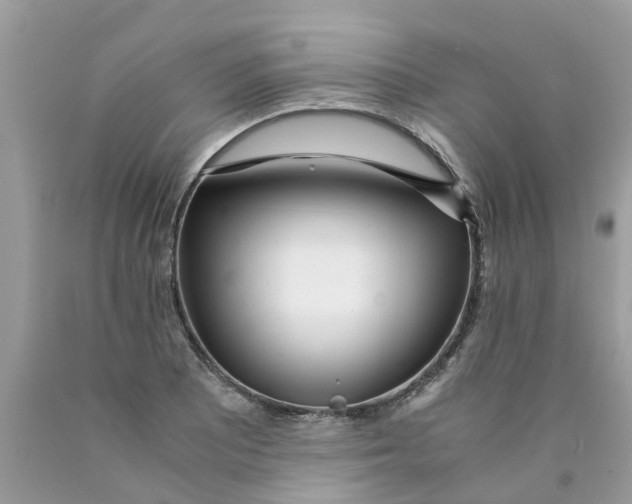 X0000089891081200707262225