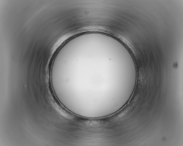 X0000089891082200707262225