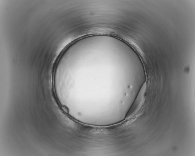 X0000089891083200707262225