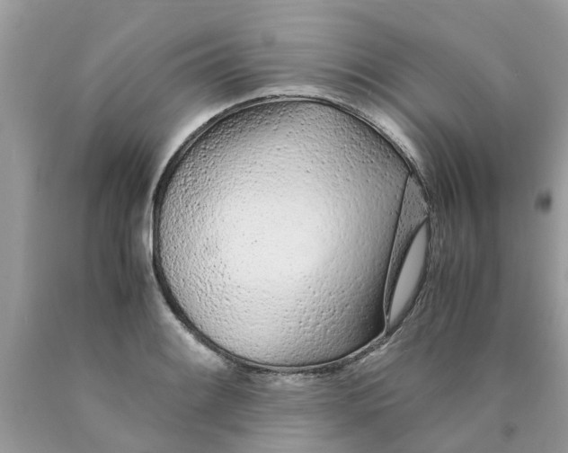 X0000089891084200707262225