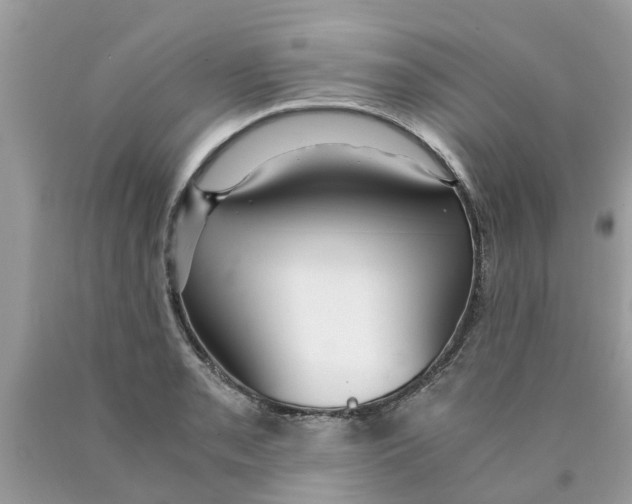 X0000089891085200707262225