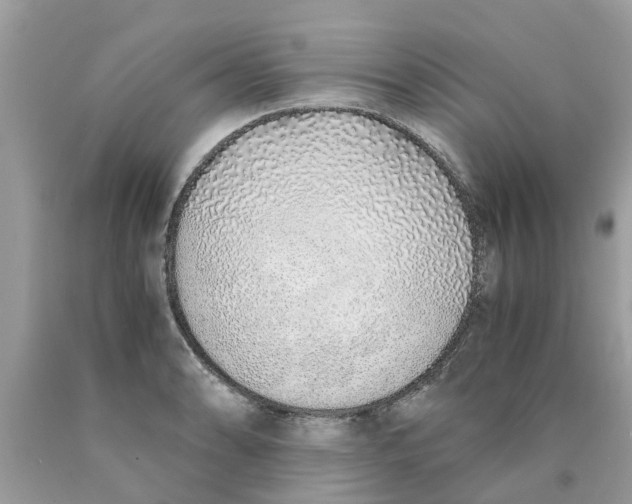 X0000089891086200707262225