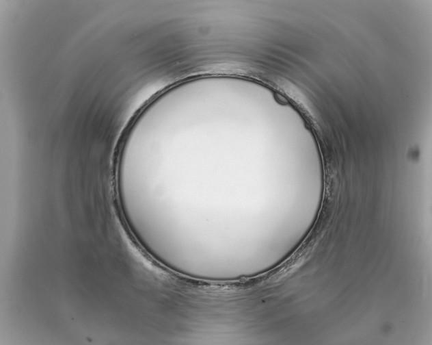 X0000089891087200707262225