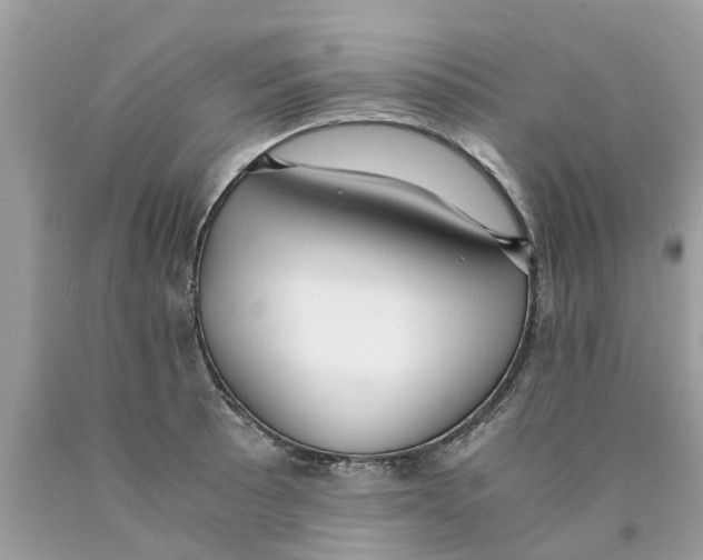 X0000089891089200707262225