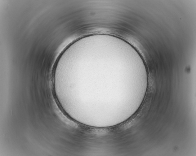 X0000089891090200707262225