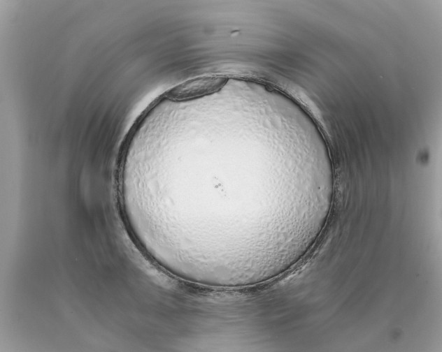 X0000089891091200707262225