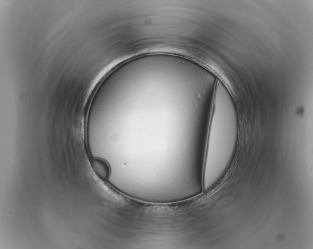 X0000089891092200707262225