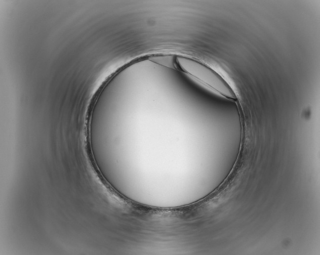 X0000089891093200707262225