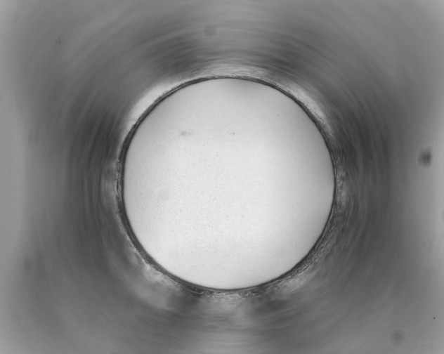 X0000089891094200707262225