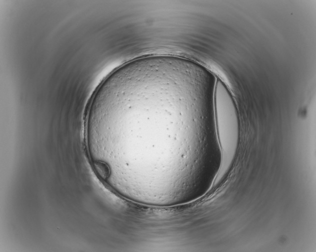 X0000089891095200707262225