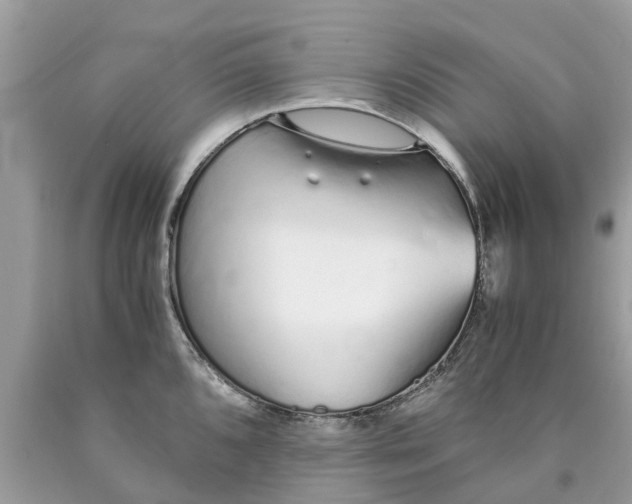 X0000089891096200707262225