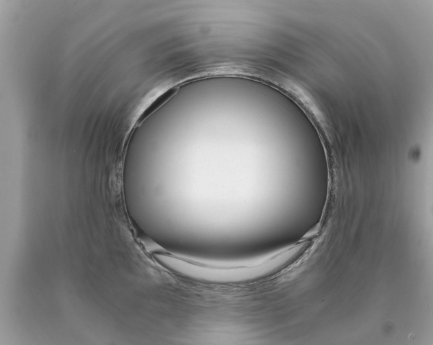 X0000089891097200707262225