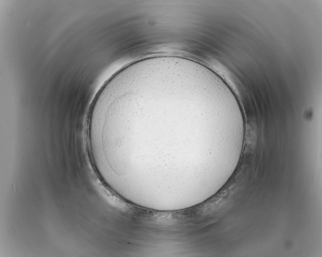 X0000089891098200707262225