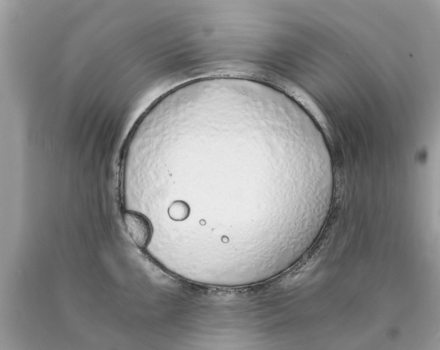 X0000089891099200707262225