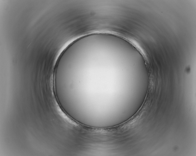 X0000089891100200707262225