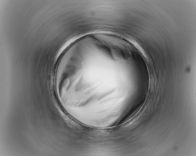 X0000089891101200707262224