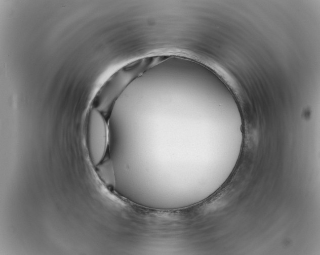 X0000089891102200707262224