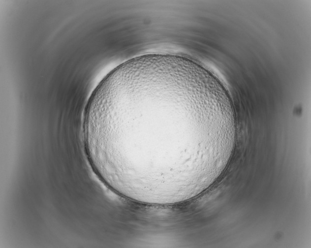 X0000089891103200707262224