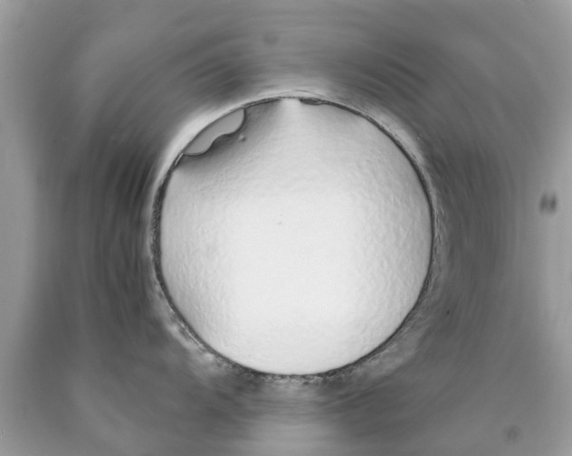 X0000089891104200707262224