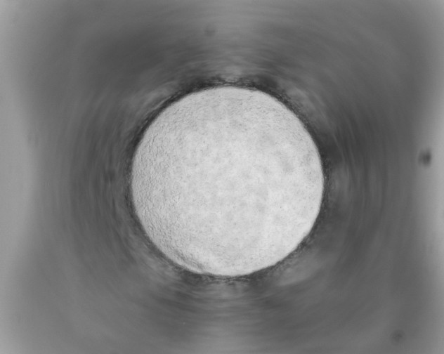 X0000089891105200707262224