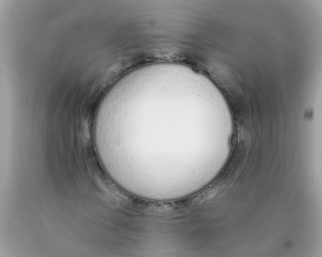 X0000089891106200707262224