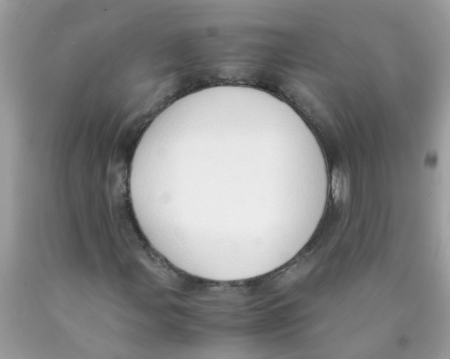 X0000089891107200707262224