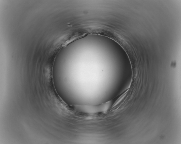 X0000089891108200707262224