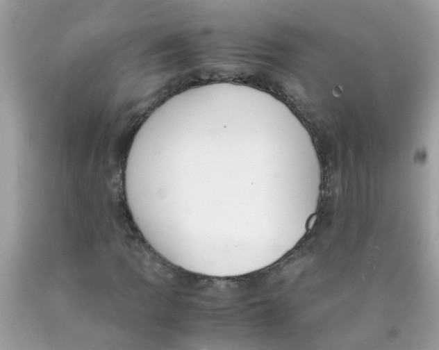 X0000089891109200707262224