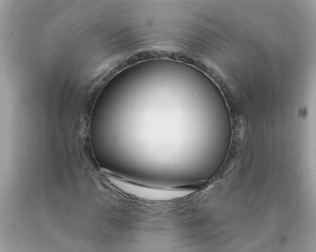 X0000089891110200707262224