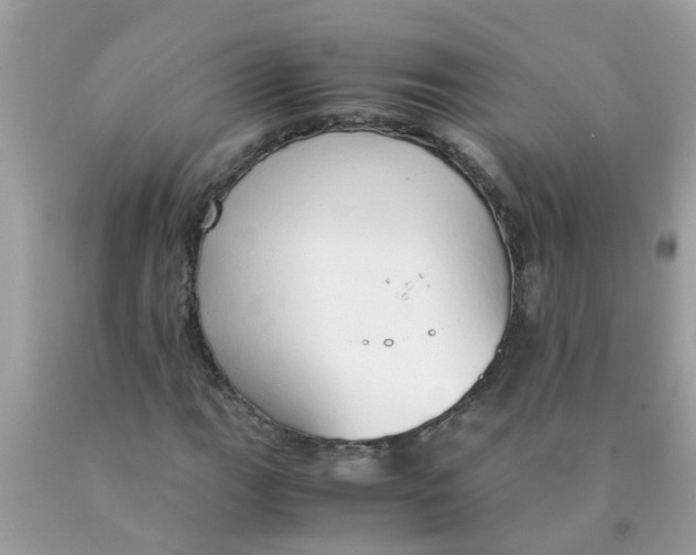 X0000089891111200707262224