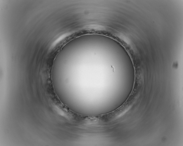 X0000089891112200707262224