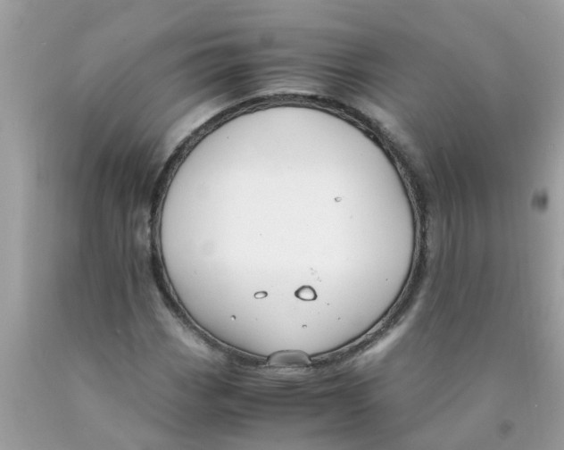 X0000089891113200707262224