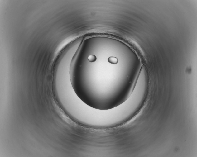 X0000089891114200707262224