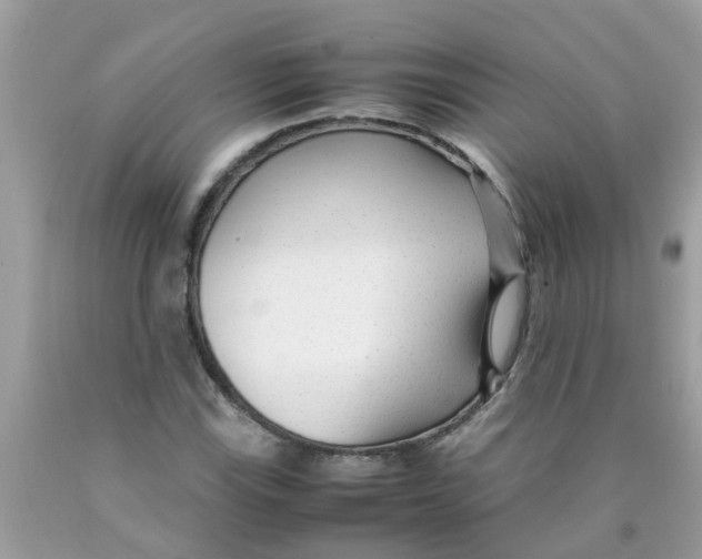 X0000089891115200707262224