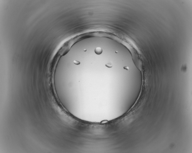 X0000089891116200707262224