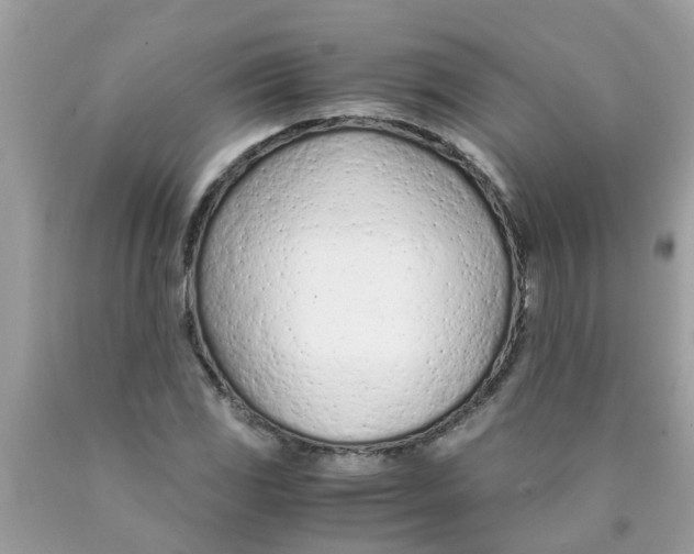 X0000089891117200707262224