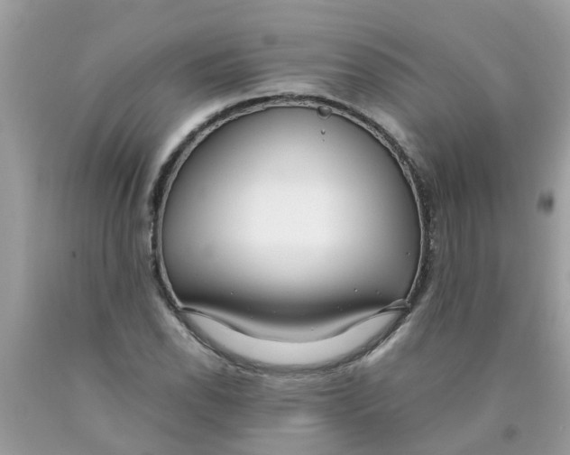 X0000089891118200707262224