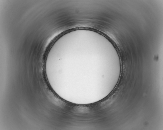 X0000089891119200707262224