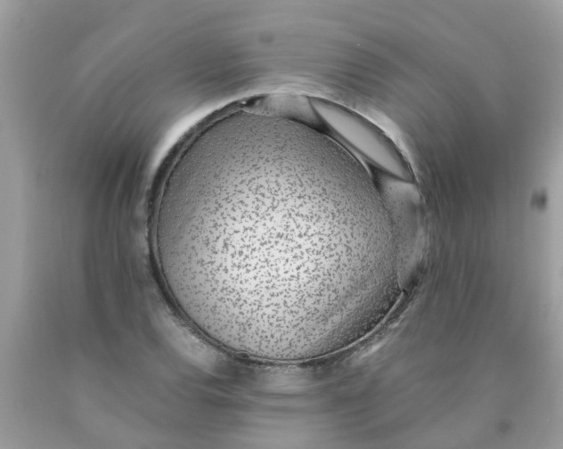 X0000089891120200707262224