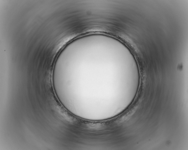 X0000089891121200707262224