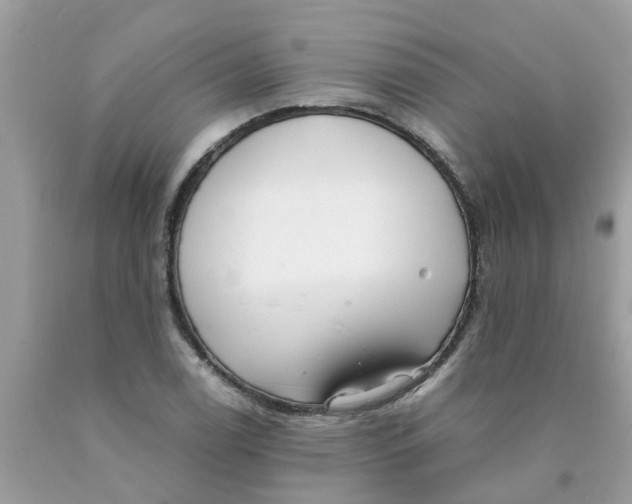 X0000089891122200707262224