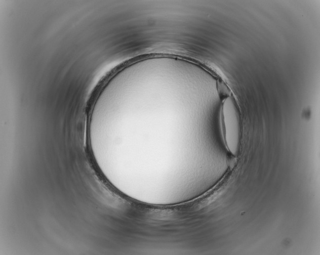 X0000089891123200707262224