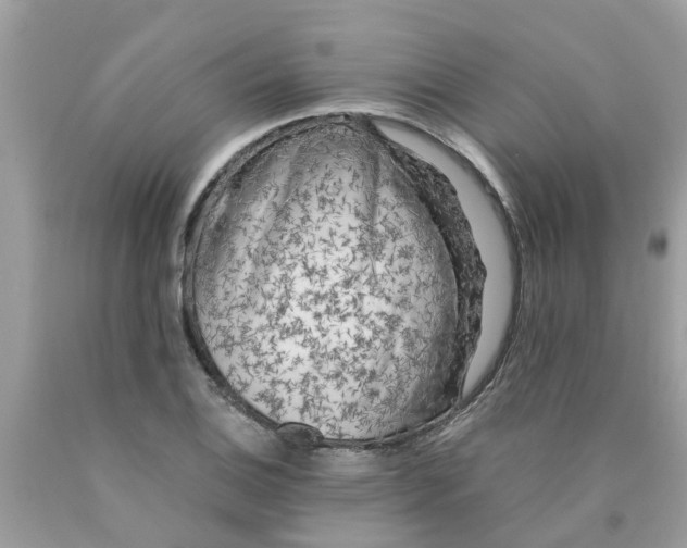 X0000089891124200707262224