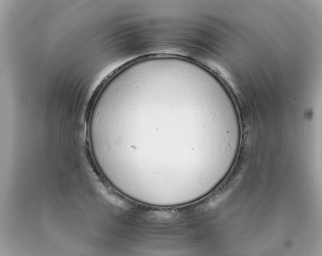 X0000089891125200707262224