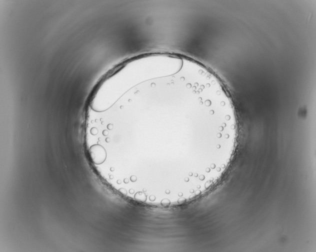 X0000089891126200707262224