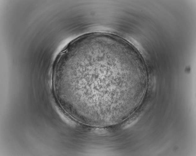 X0000089891128200707262224