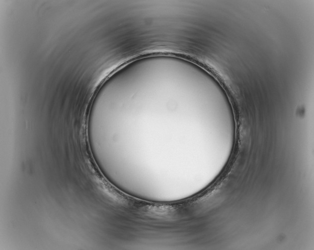 X0000089891129200707262224